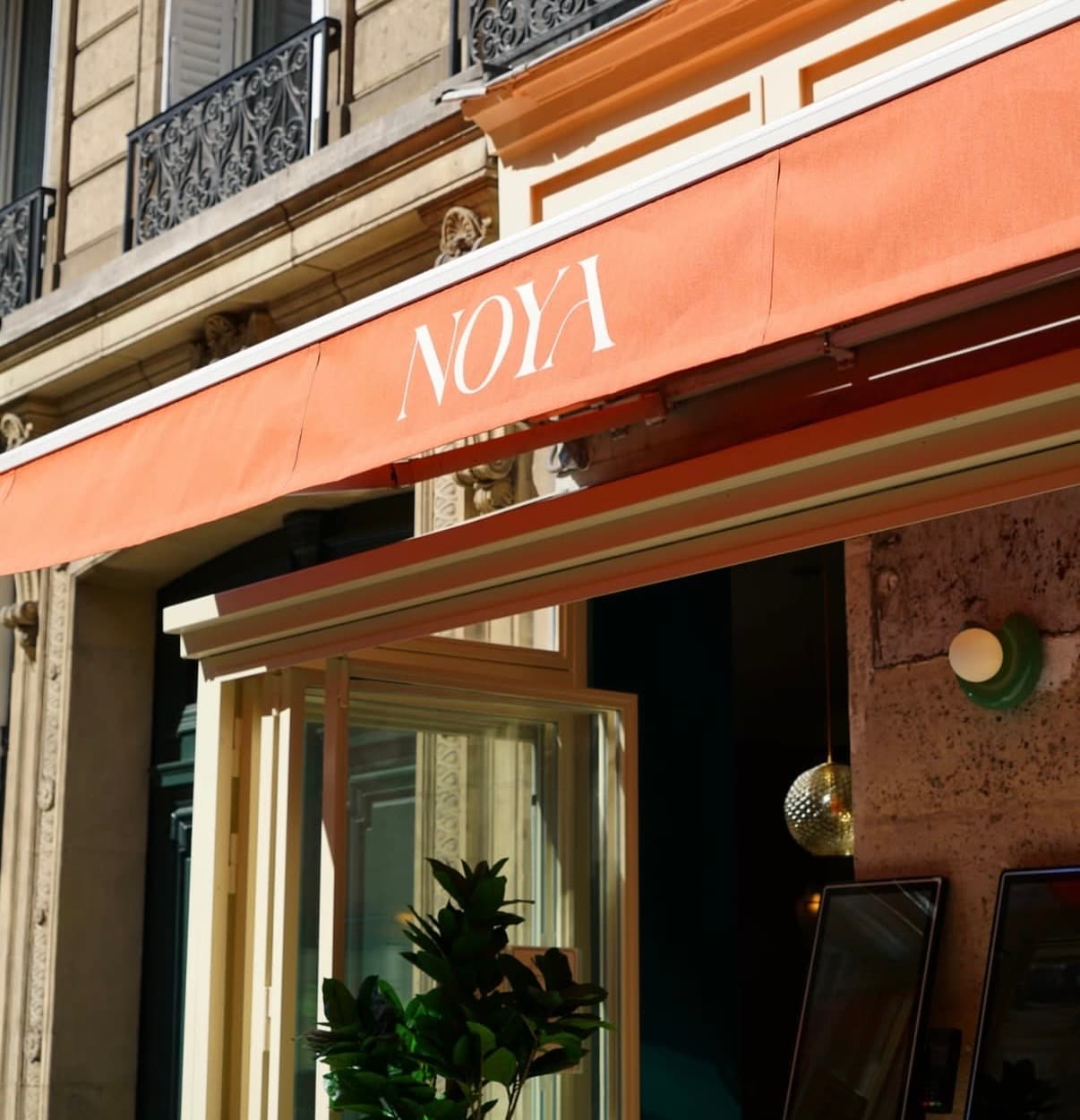 Assiette falafel avec houmous et tehina, cuisine levantine Noya